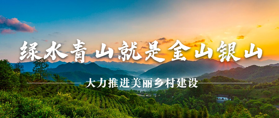 多措并举改善农村人居环境，助力美丽乡村建设